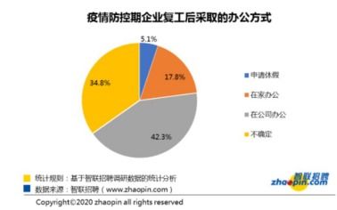告别TeamViewer束缚，居家办公的“知”慧之选