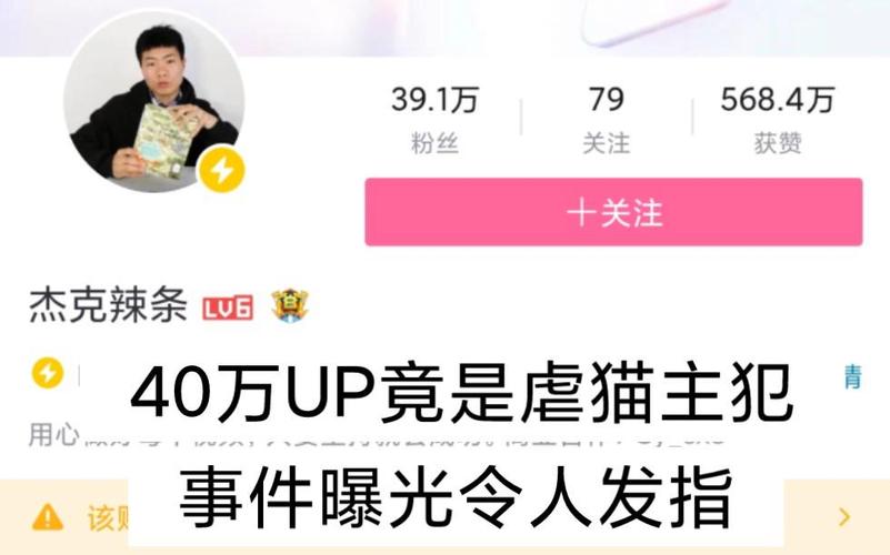 b站知名美食up主长期虐猫被抓获,知人知面不知心